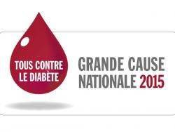 logo grande cause 2015